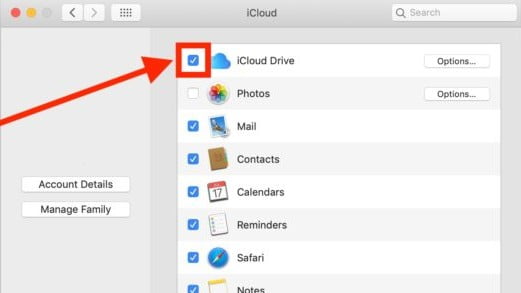 Disable iCloud Drive On macOS