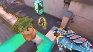 FlowAscending Valorant Settings